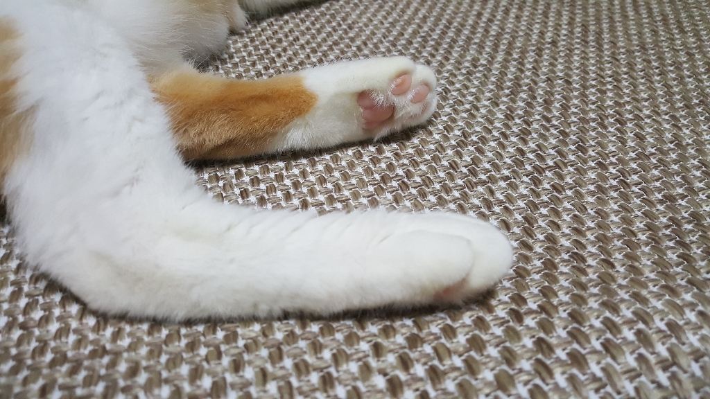 인룸 스티치 사이잘룩 러그