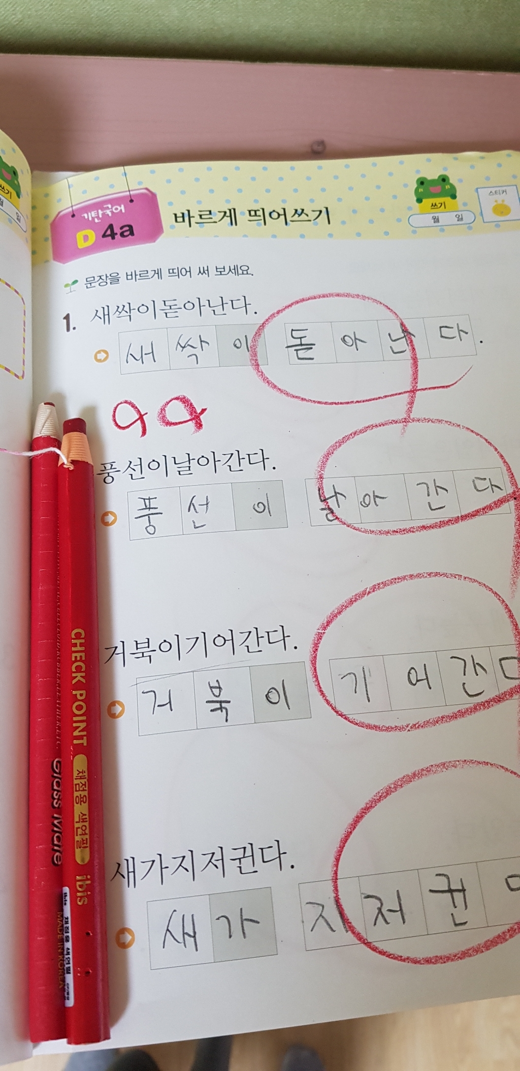 아이비스 채점용 색연필 SP08112 리뷰후기