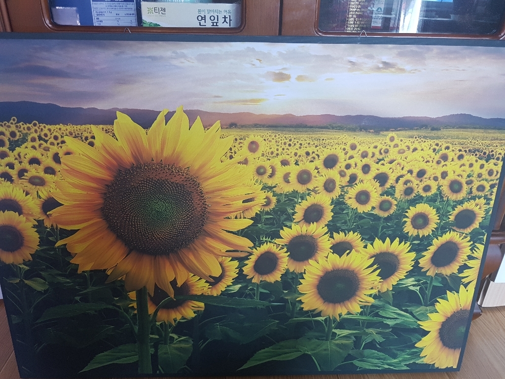 아트블루 풍수에 좋은 사과 과일 그림 금전운 인테리어 액자