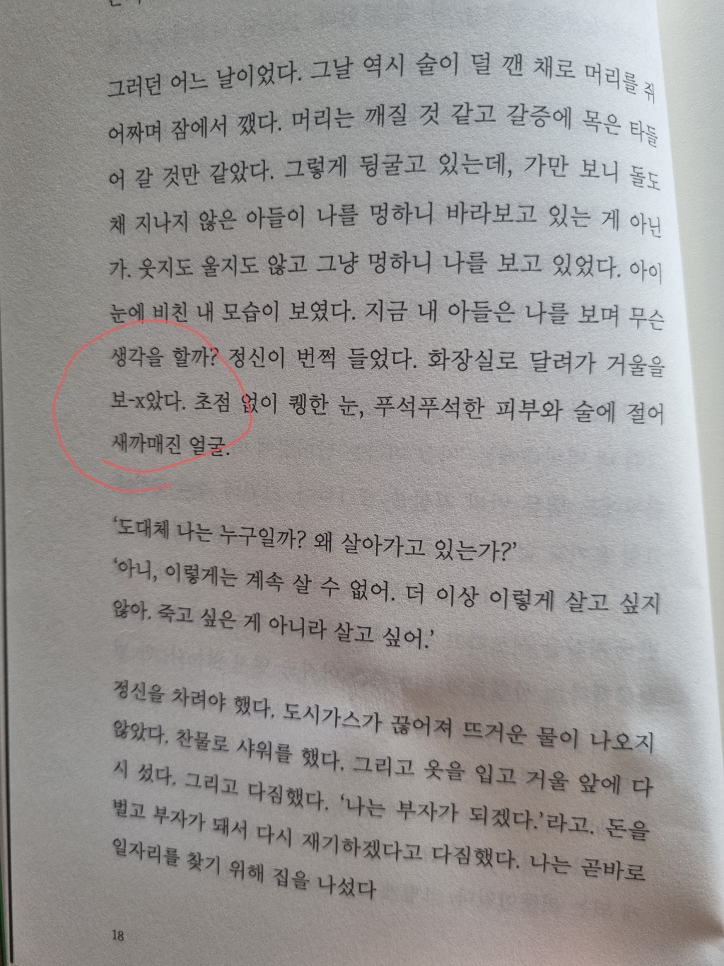 더 보스:돈을 통제하라 그리고 원하는 삶을 살아라