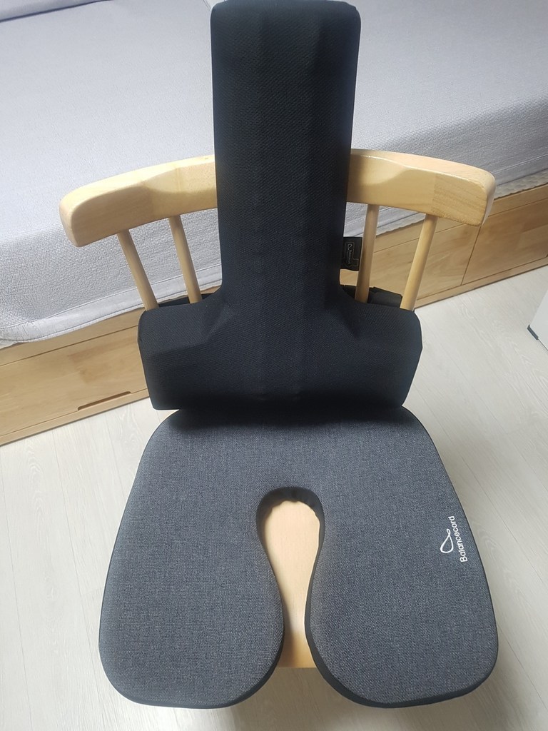발란스코드 카이로프랙틱 허리쿠션