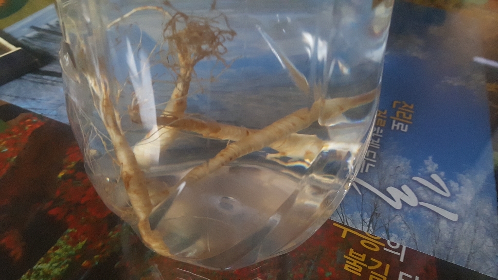 천봉산삼 6 8 10년근 산삼 장뇌삼 산양삼 산양산삼 자연산 주 새싹 장뇌 설 추석 선물세트