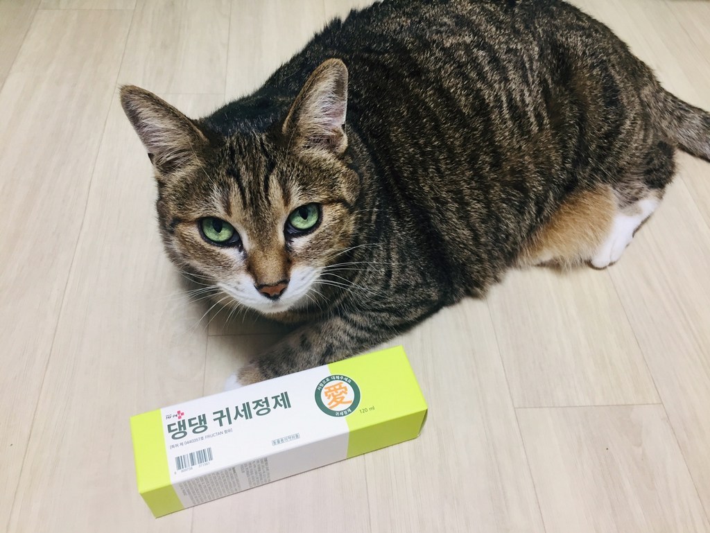 헬로마이펫 강아지 귀세정제 귀청소 1개
