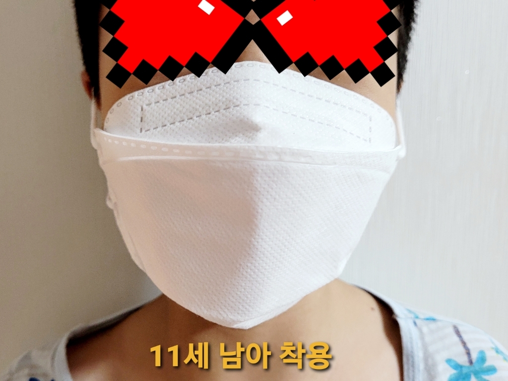 애니가드 기본 황사마스크 소형 KF80 리뷰후기