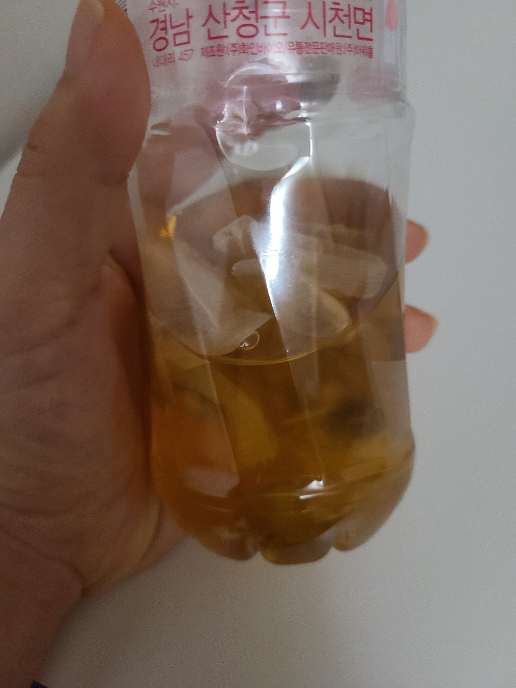 아이앤티 황기차
