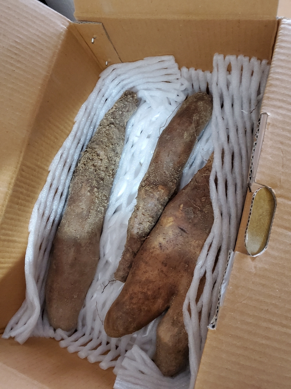 흙사랑농원 안동 마 참마 산마 생마 리뷰후기