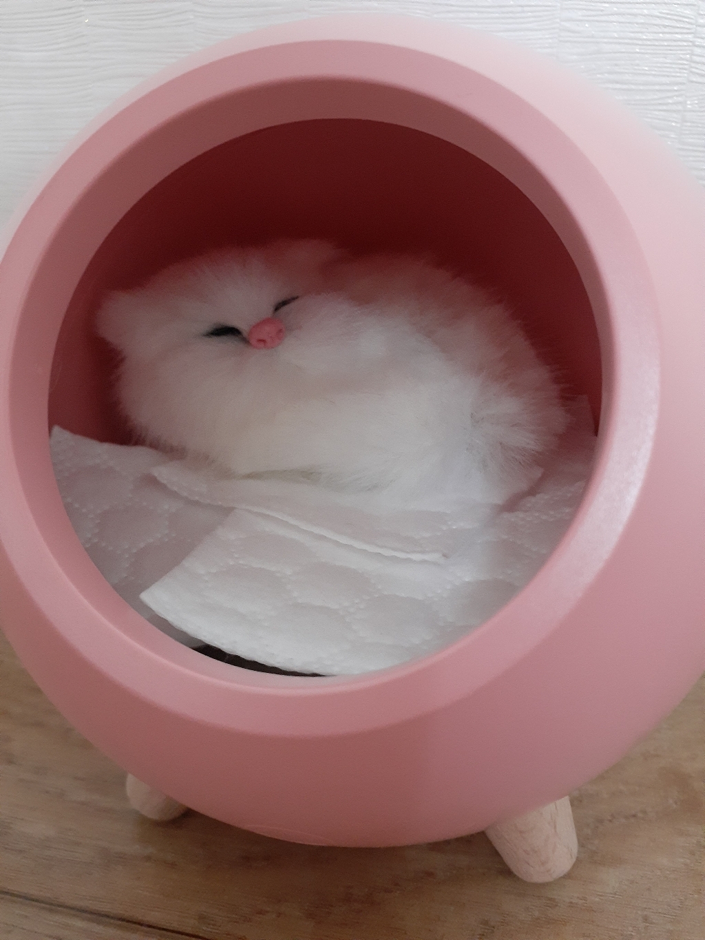 무아스 충전식 잠자는 고양이 무드등 리뷰후기