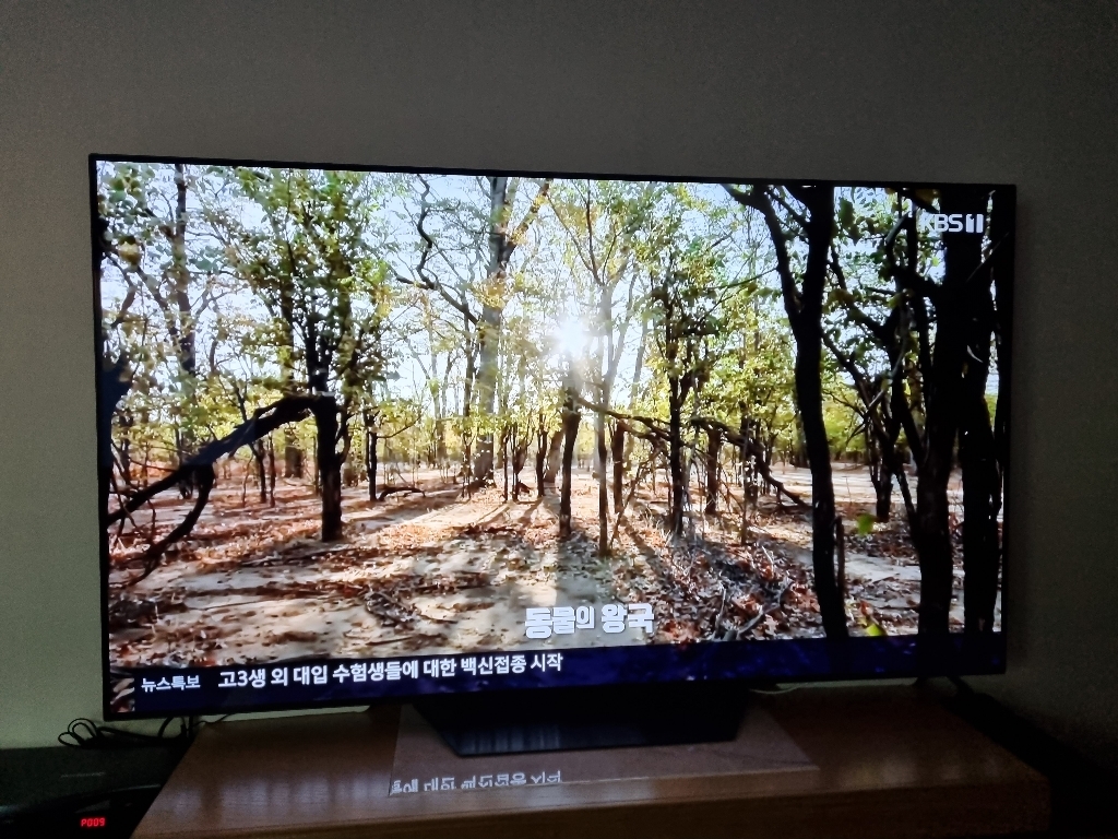 LG전자 울트라HD OLED 올레드 TV OLED65BXCNA 리뷰후기