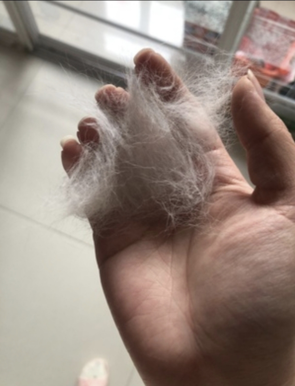반려마음 고양이 털 제거 모찌빗 죽은털 제거기 브러쉬 털빗 관리