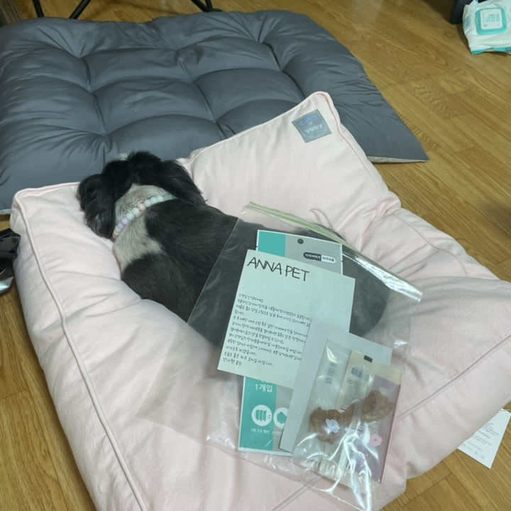 강아지 마약방석 푹신한 고양이 강아지방석 리뷰후기