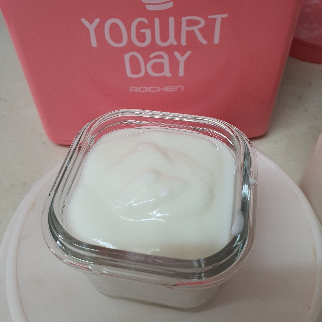로이첸 요거트 데이 요거트메이커 리뷰후기