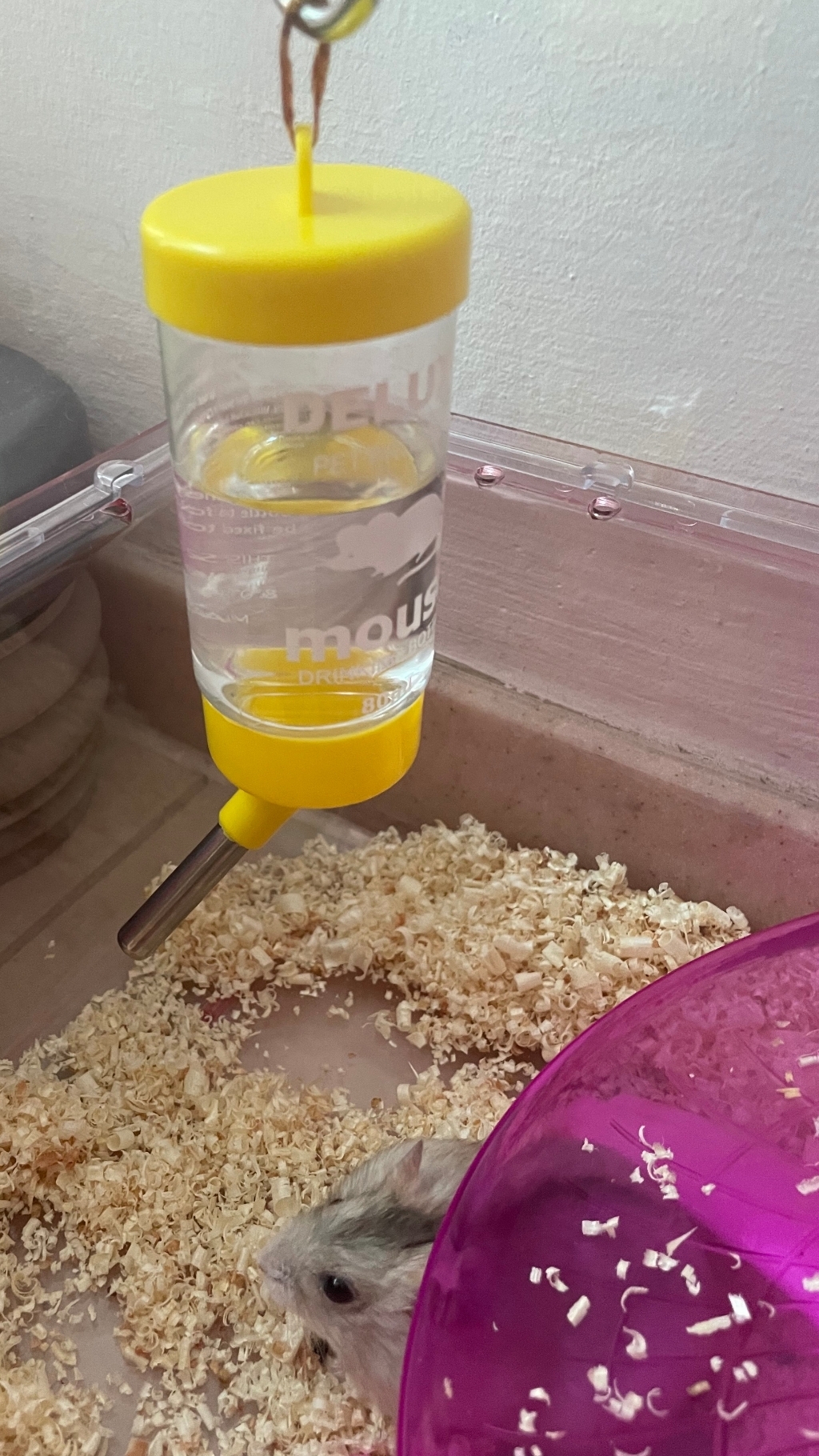 아마존 햄스터 물병