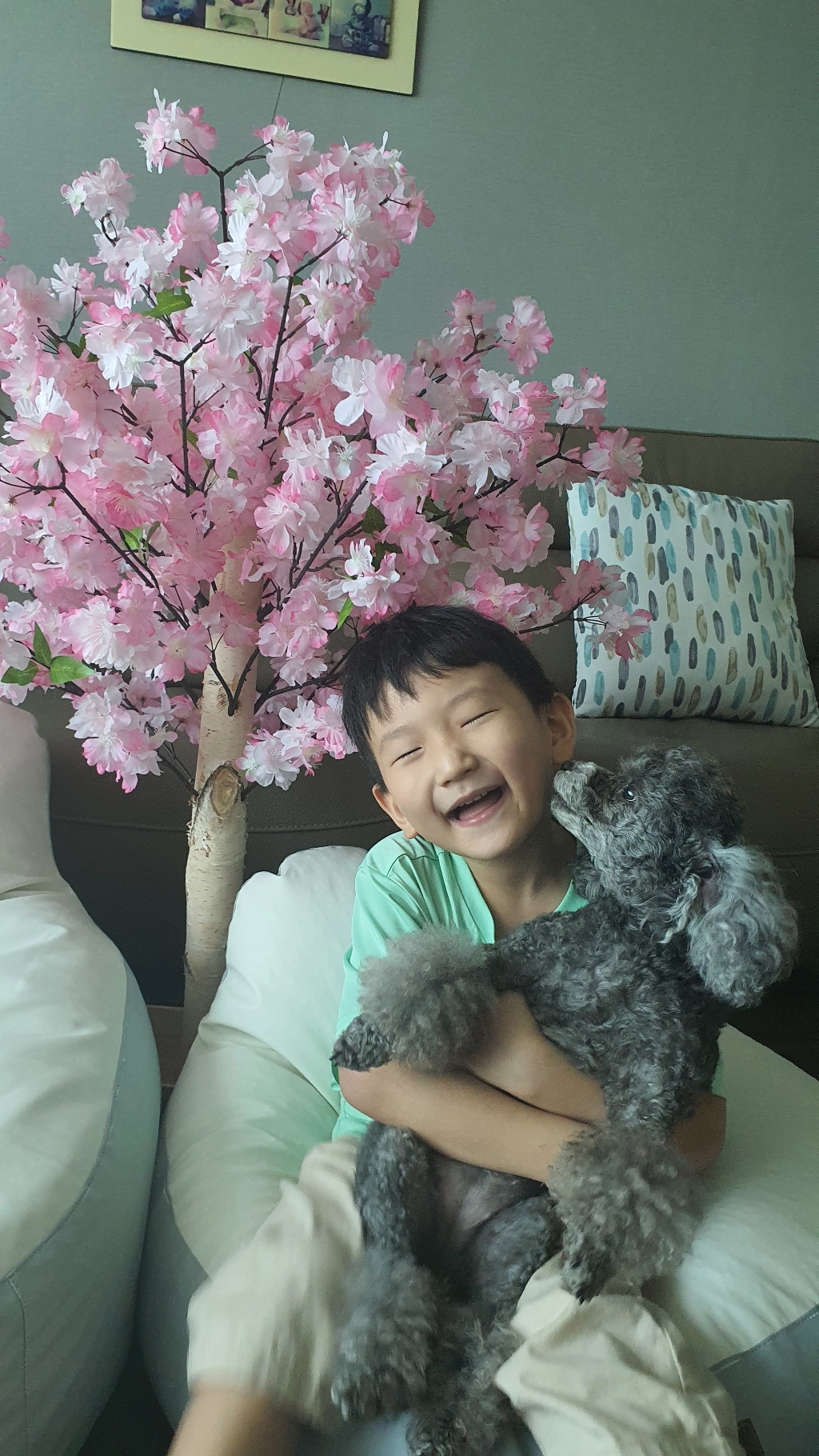 조아트 구름벚꽃나무