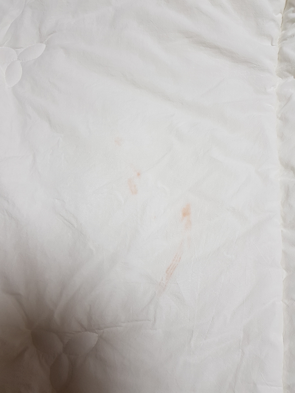 류금숙 여자의 침실 광목워싱 레이스 항균 이중 프릴 침대커버차렵 이불베게 커버