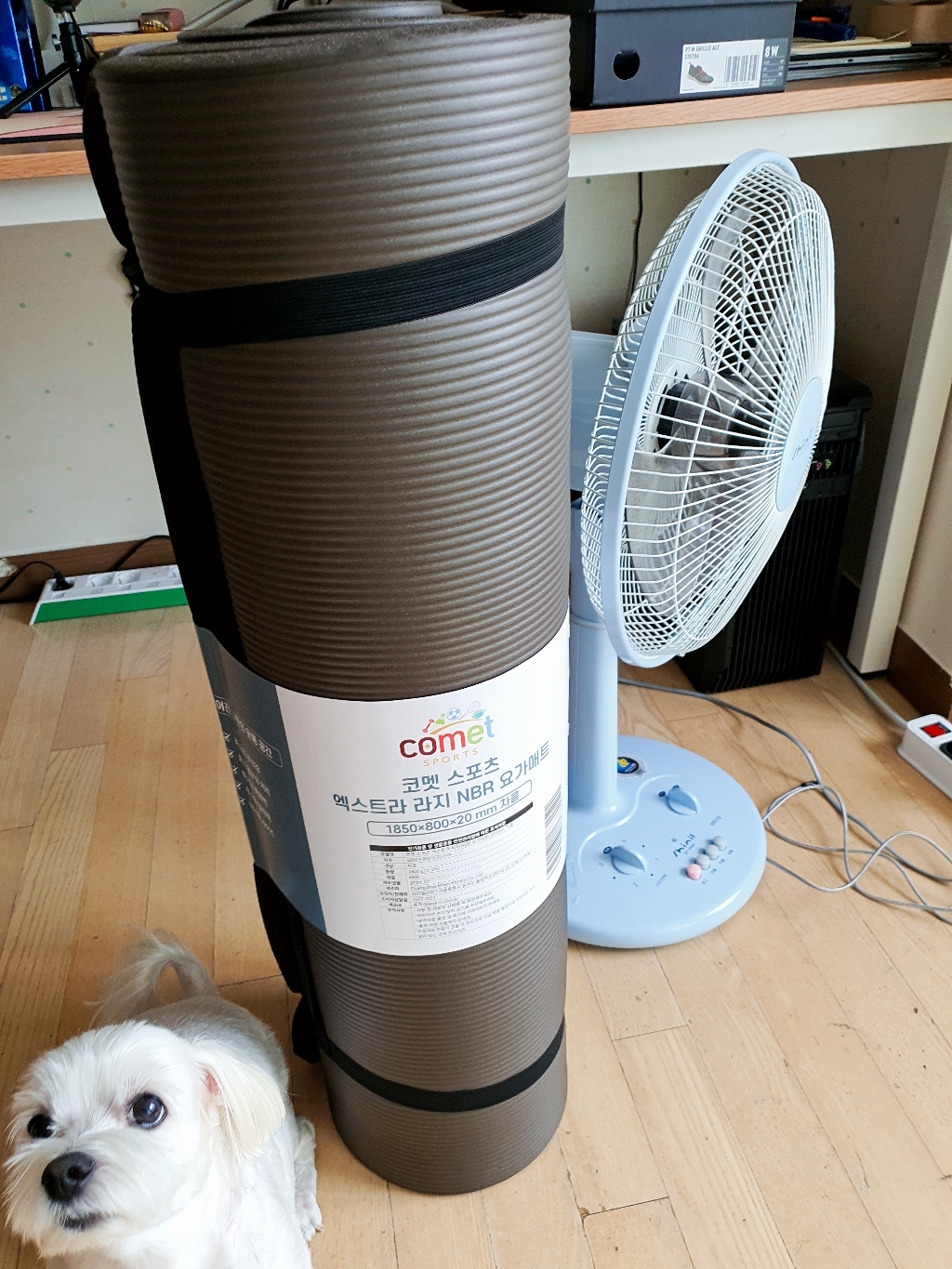 코멧 스포츠 엑스트라 라지 NBR 요가매트