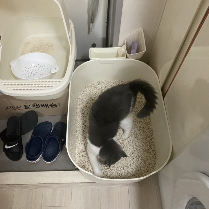 강집사 건강집사 고양이 화장실 멀티박스