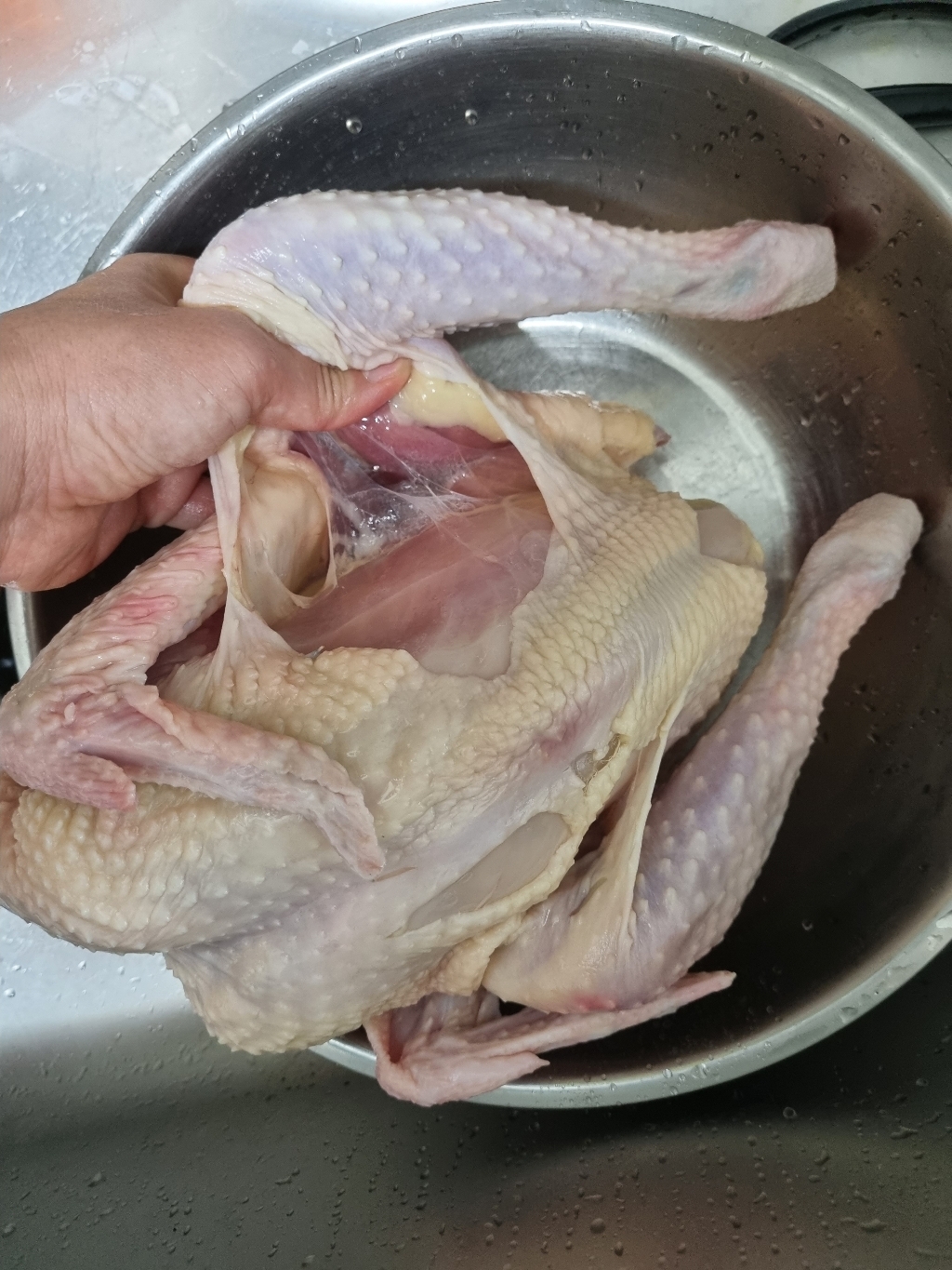 올품 토종대왕 백숙용 토종닭