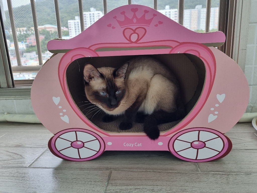 오케이펫코리아[ COZYCAT ] 마차 스크래쳐 하우스형