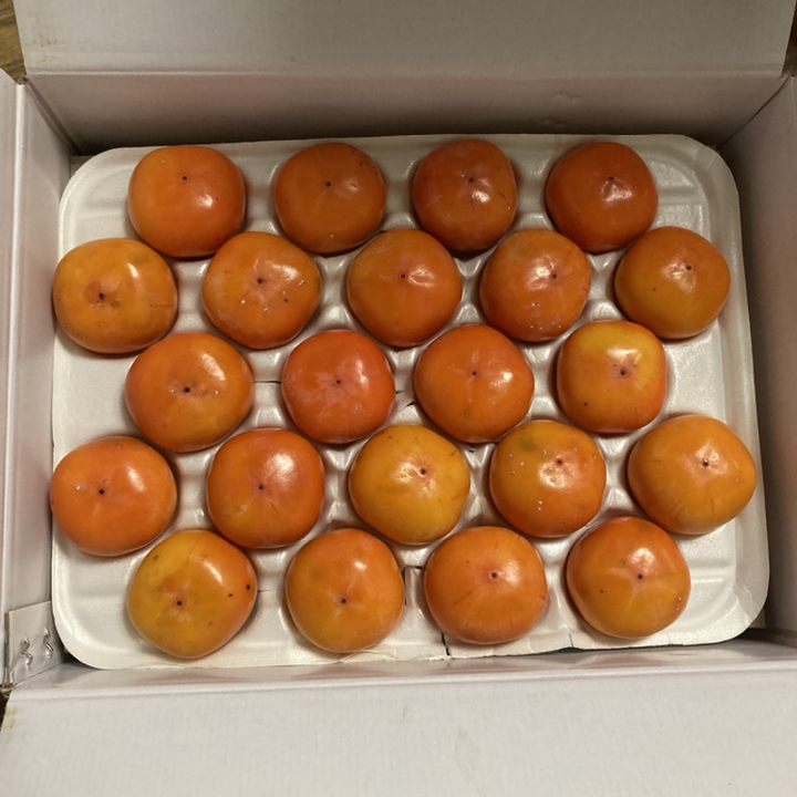 반시 고당도 제철 씨없는 청도반시 홍시 연시 감 리뷰후기