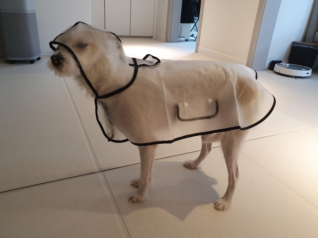 파스텔펫 반려동물 라인 레인코트