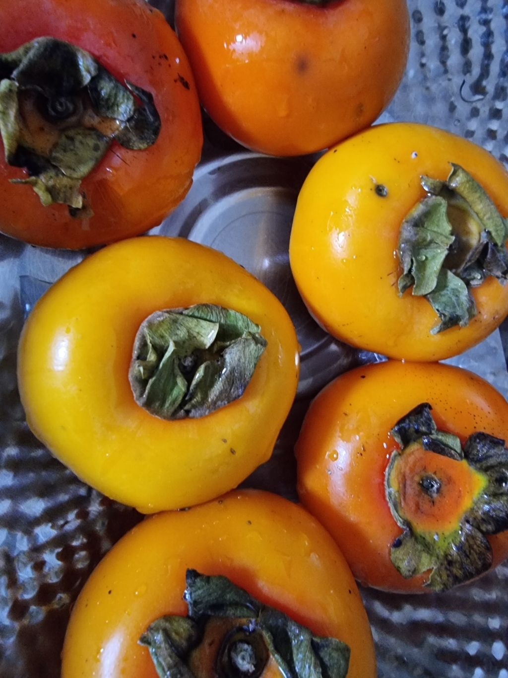 고당도 청도반시 35과 리뷰후기