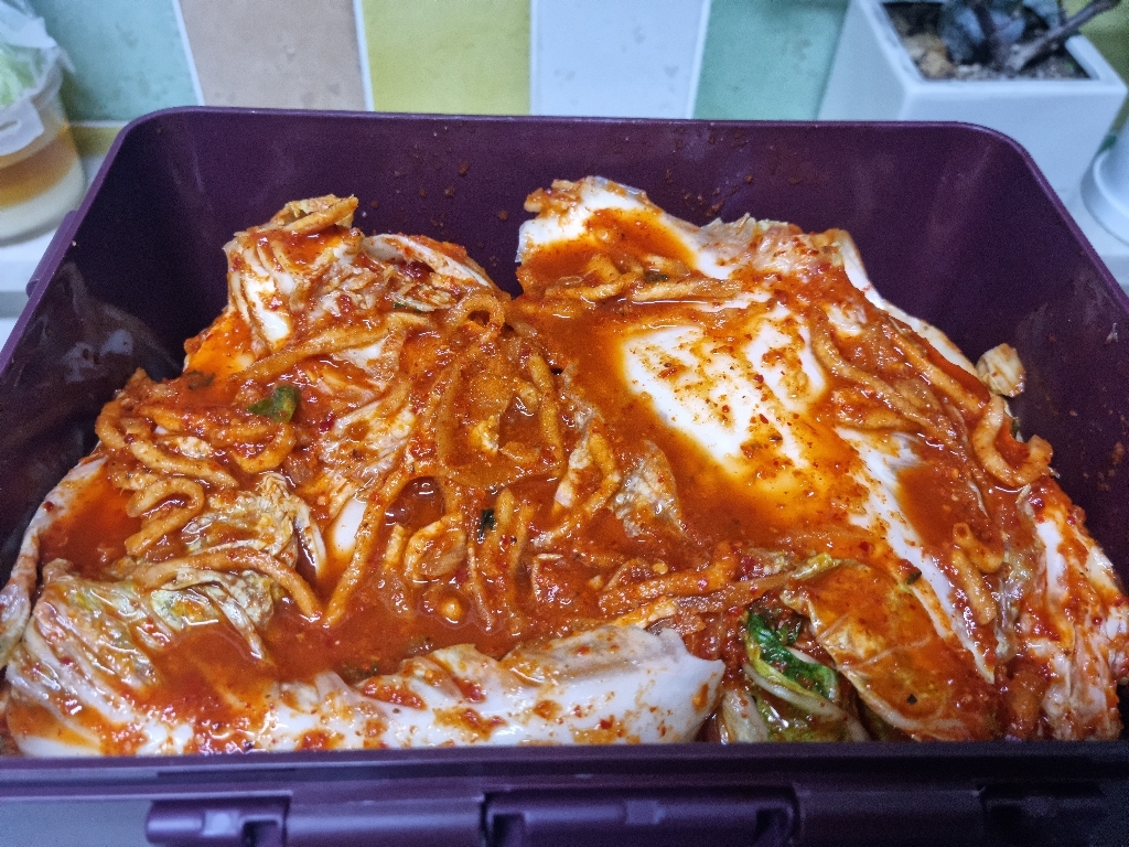 해썹 국산 당일 담근 생김치 전문 발송