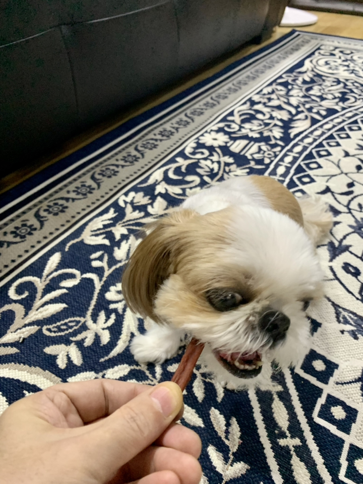 극상소재 맛집 반려동물 간식 져키