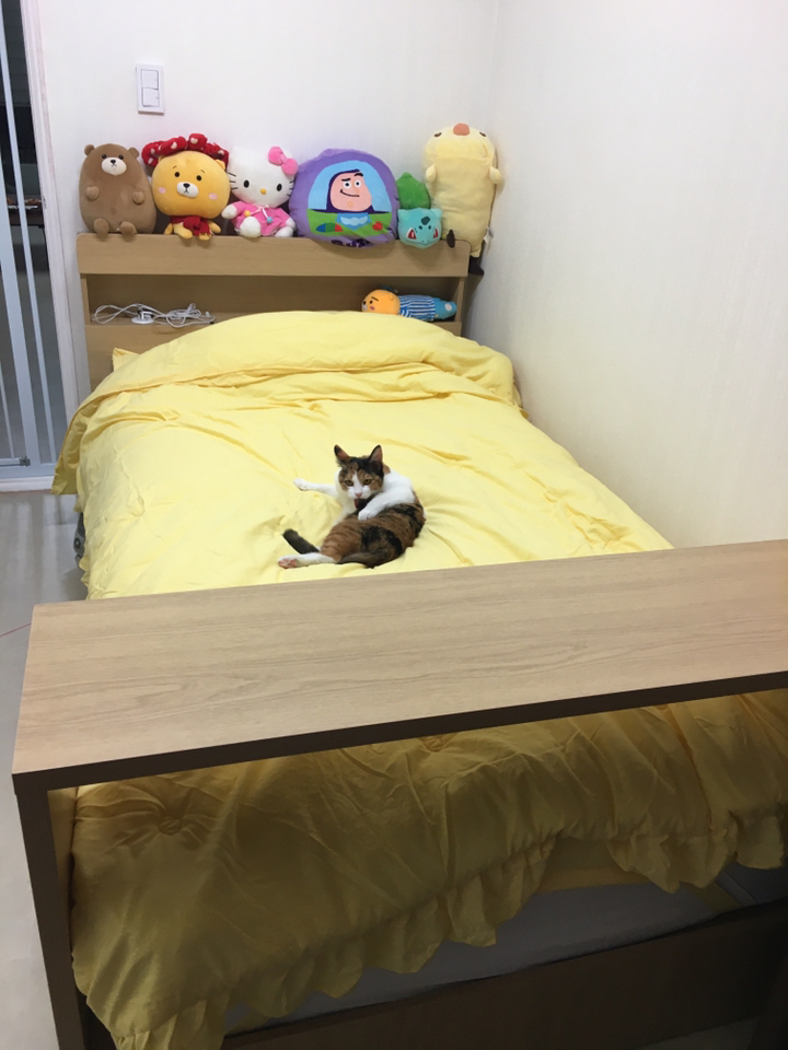바인 프리미엄 텔식 침구 3종
