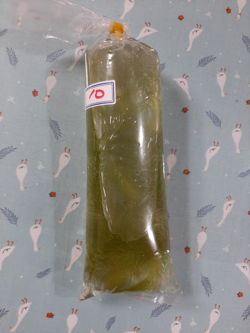 [우연물방] 마츠모 10촉 수초 어항용품 어항수초