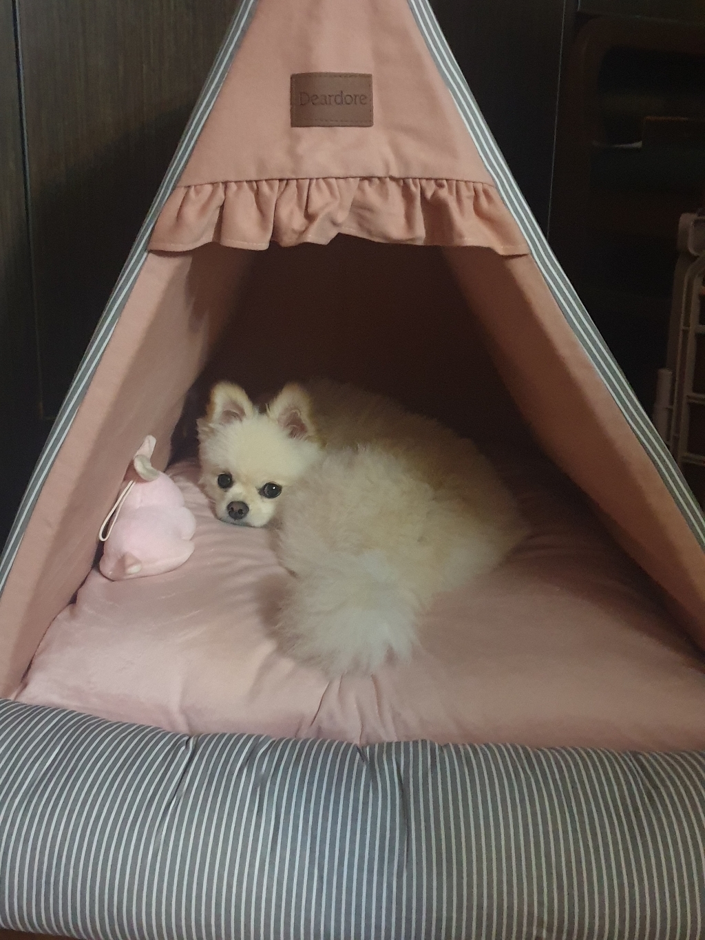 디어도르 강아지 집 하우스 텐트 고양이 대형 애견 숨숨집 반려견