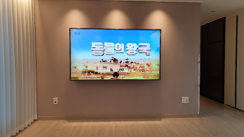 LG전자 나노셀 80 시리즈 2020 클래스 4K 스마트 UHD TV 75인치 AI 띵큐 75NANO80UNA 리뷰후기
