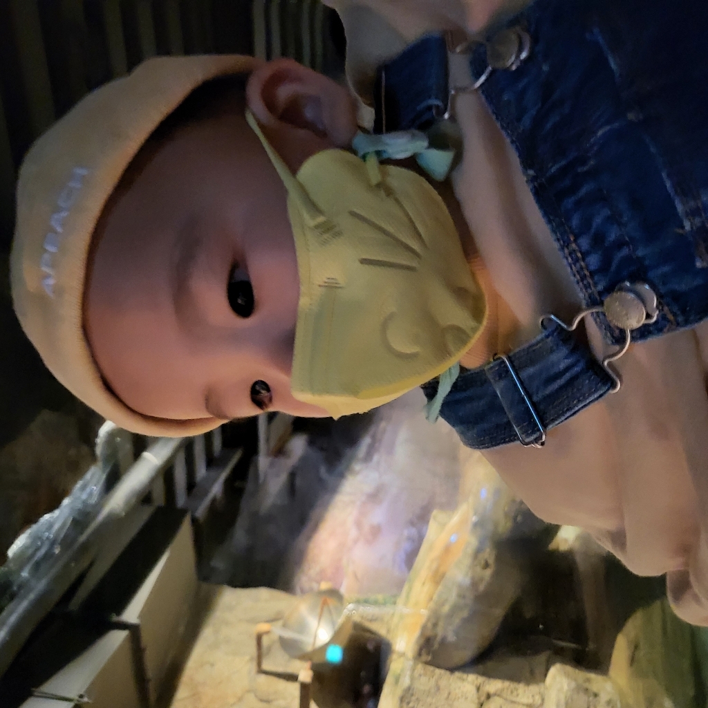 힐타임 냥냥이 키즈마스크 옐로우