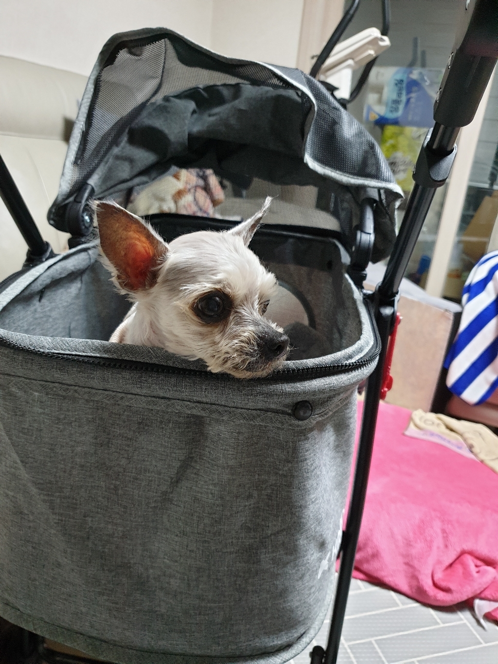 크로노 디럭스 애견유모차
