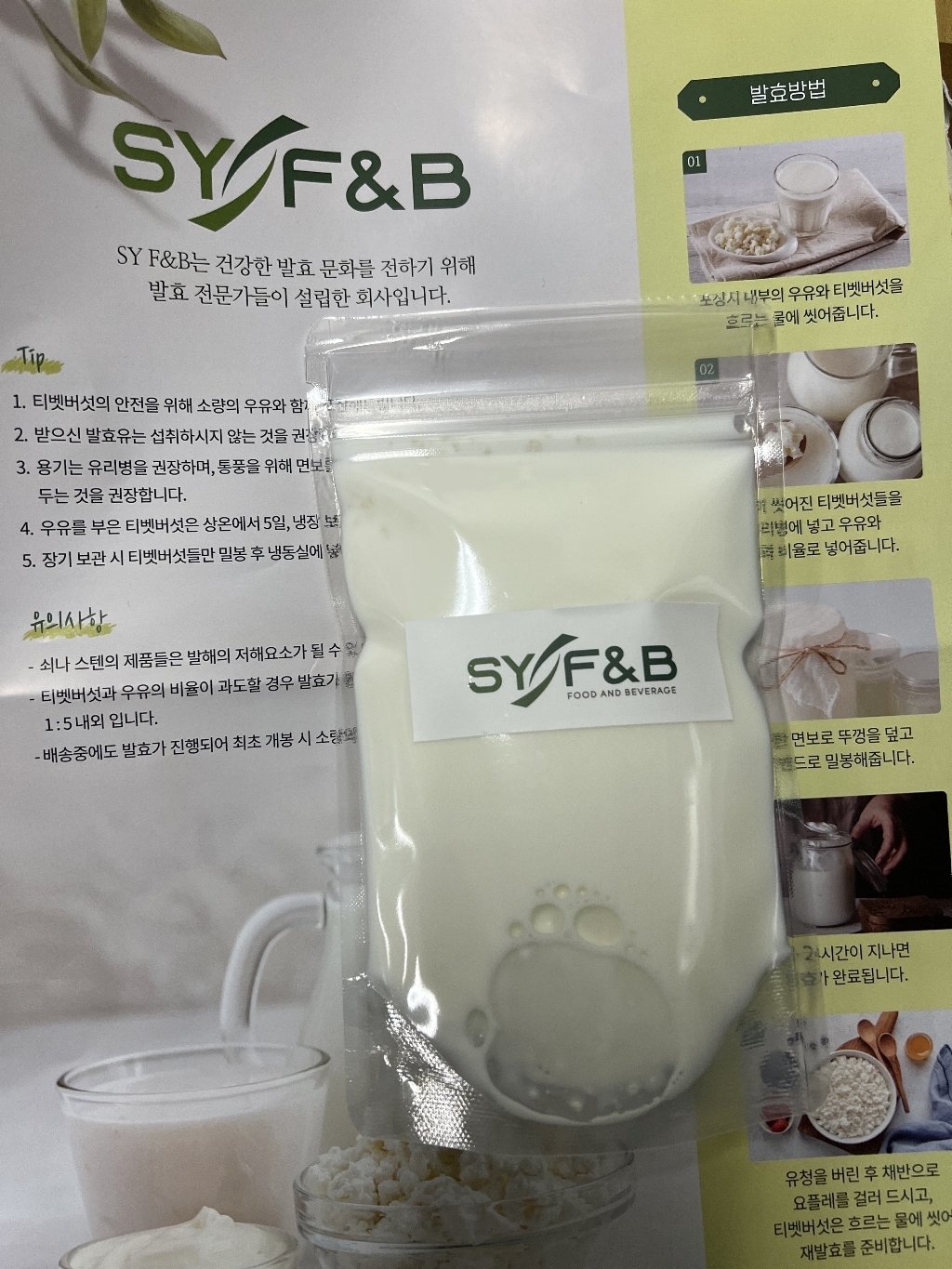 티벳버섯 종균 케피어 Kefir