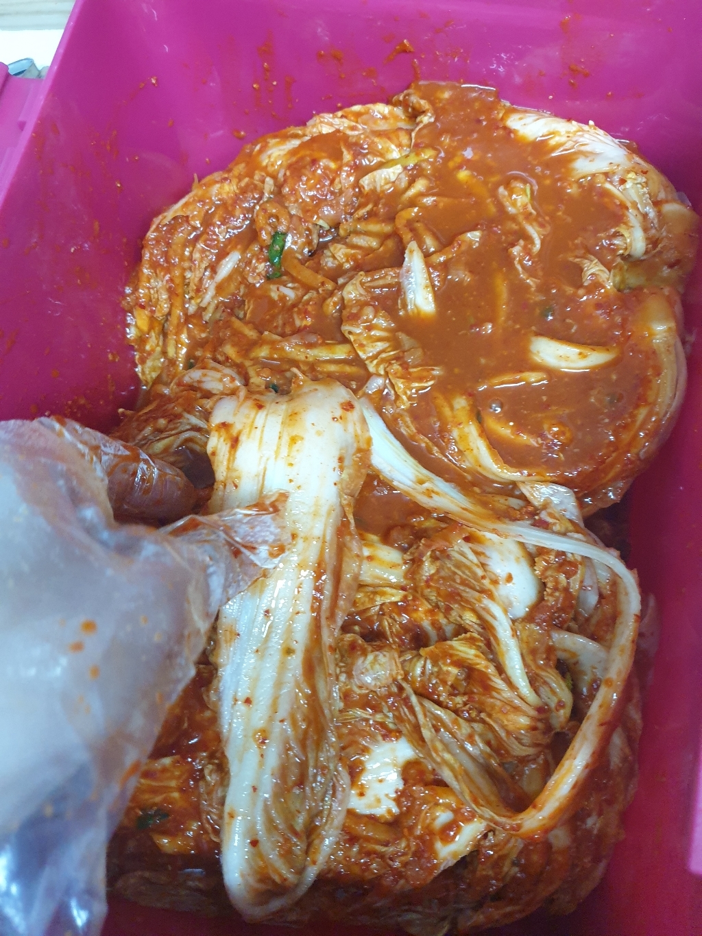 국산 전라도 포기배추김치