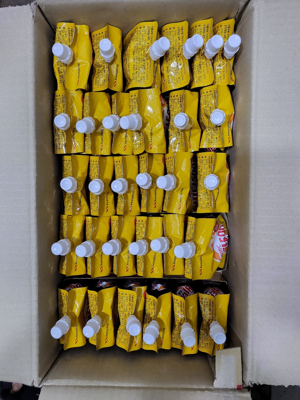 광동제약 비타500 치어