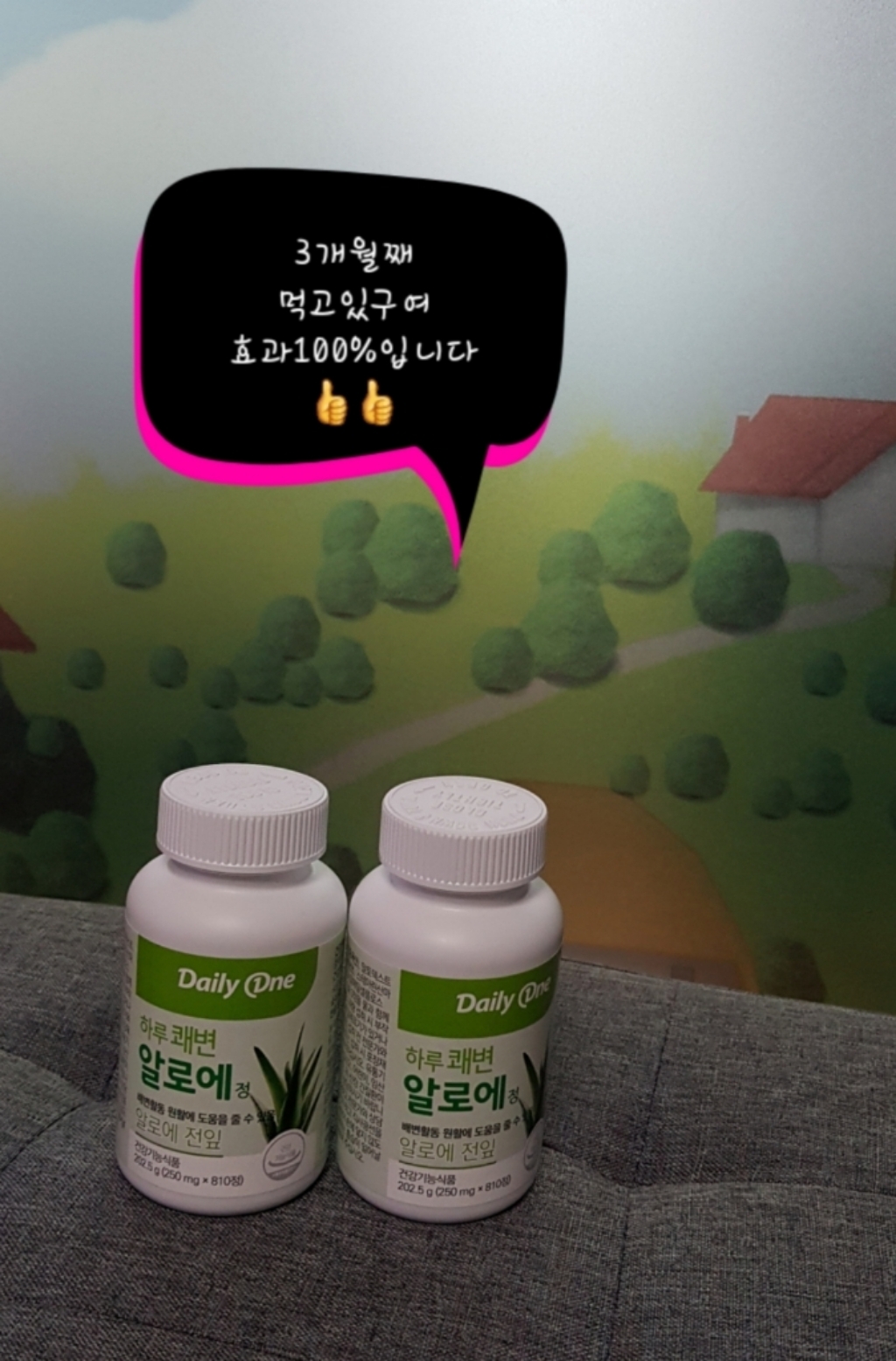 데일리원 하루쾌변 알로에정 9개월분