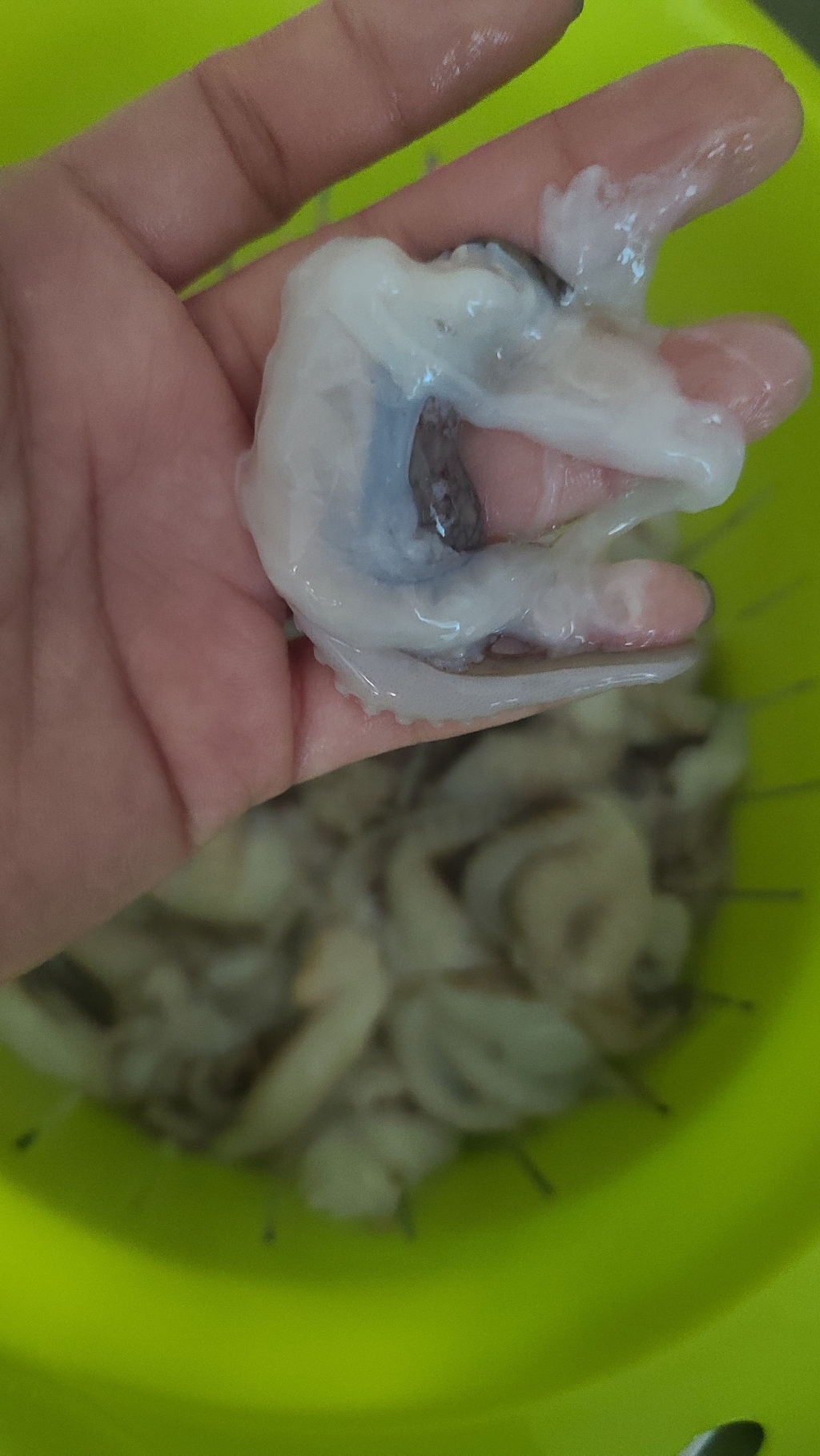 이츠웰 CJ 프레시웨이 절단주꾸미 리뷰 후기