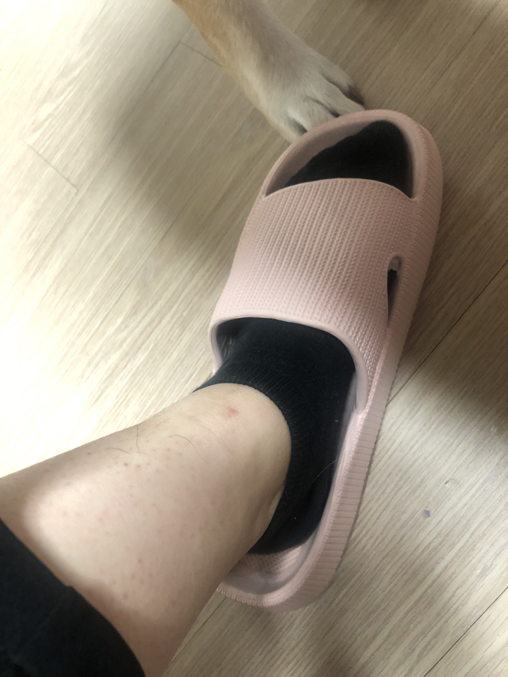 홀리버니 홈슬리퍼 층간소음 거실실내화 푹신한 실내슬리퍼 거실화