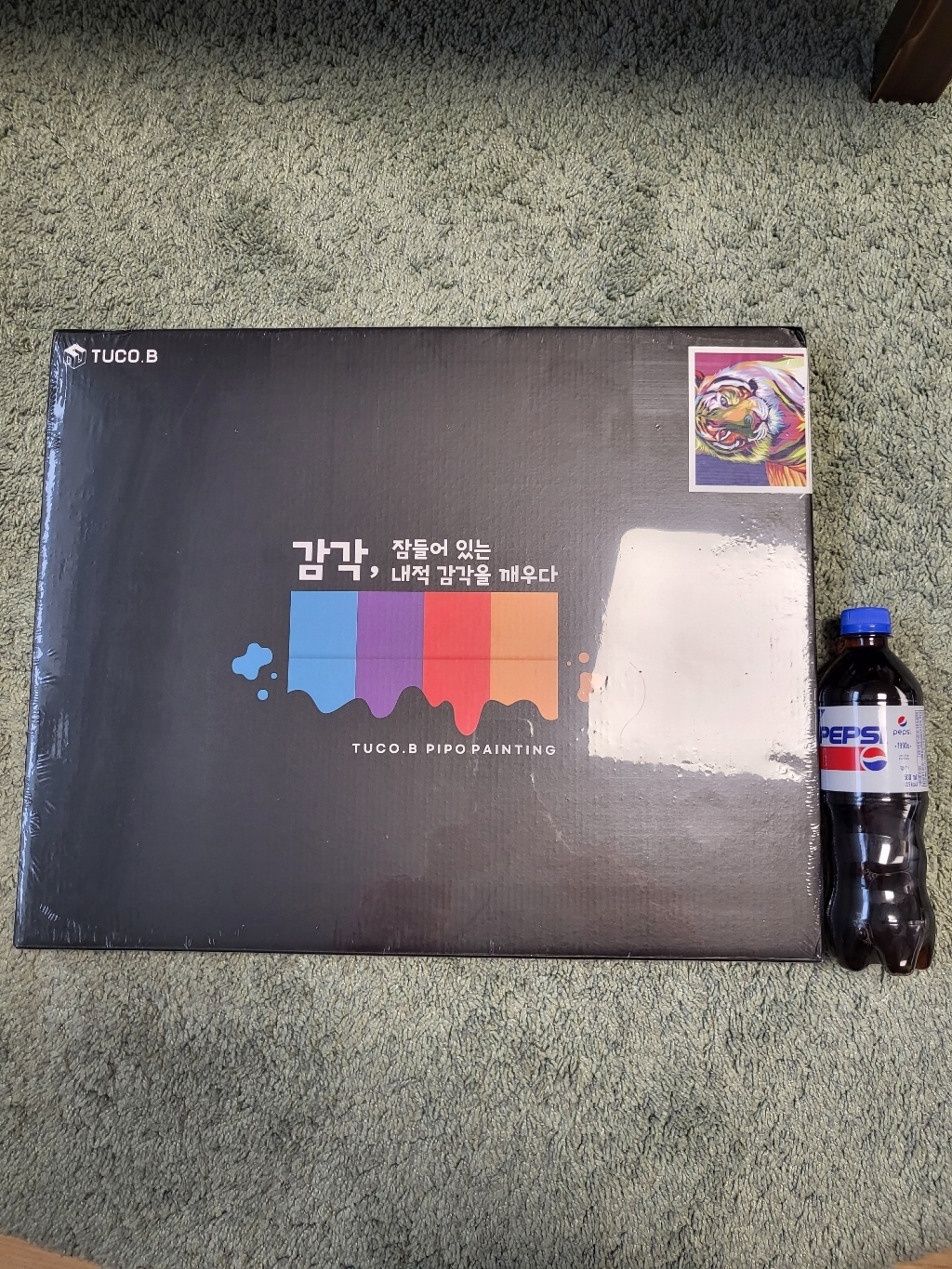 투코비 DIY 명화그리기 가로형 4050