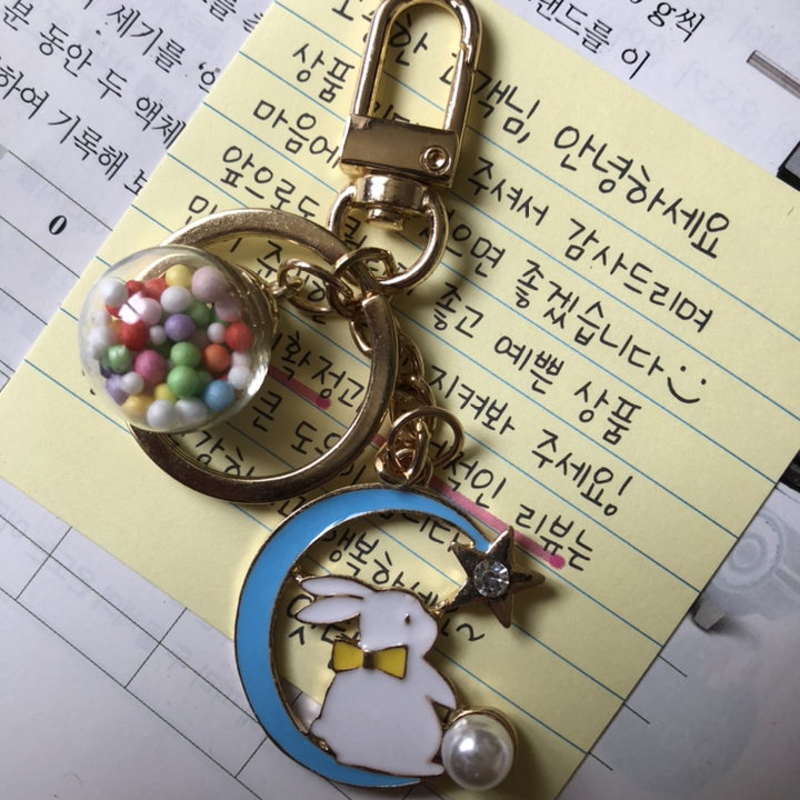 레인보우 달토끼 키링 에어팟 버즈 카드지갑 차 열쇠고리 키홀더 다이어리 키링 리뷰후기
