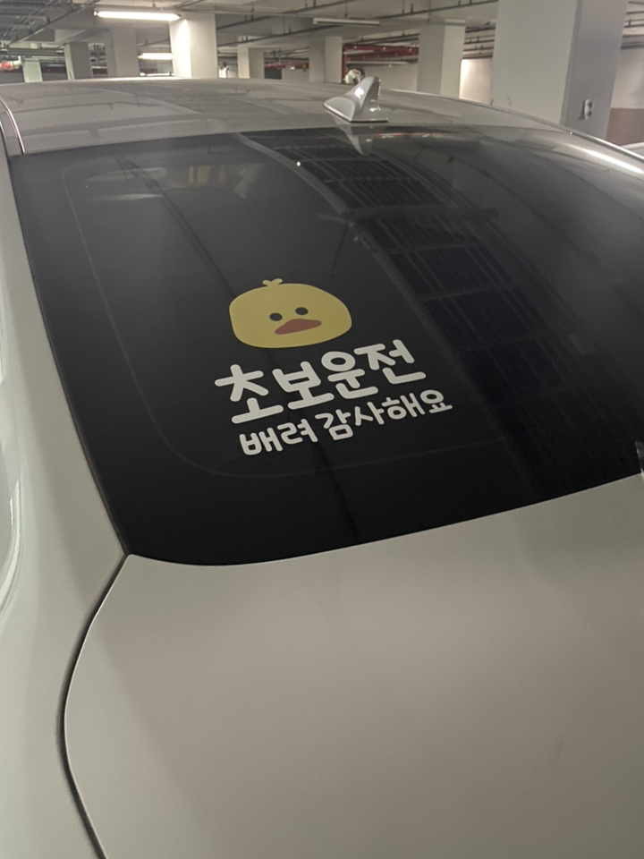 초보운전 스티커 자동차 운전 연수 연습 배려 낙서 데칼 미니쿠퍼 레이 병아리 디자인