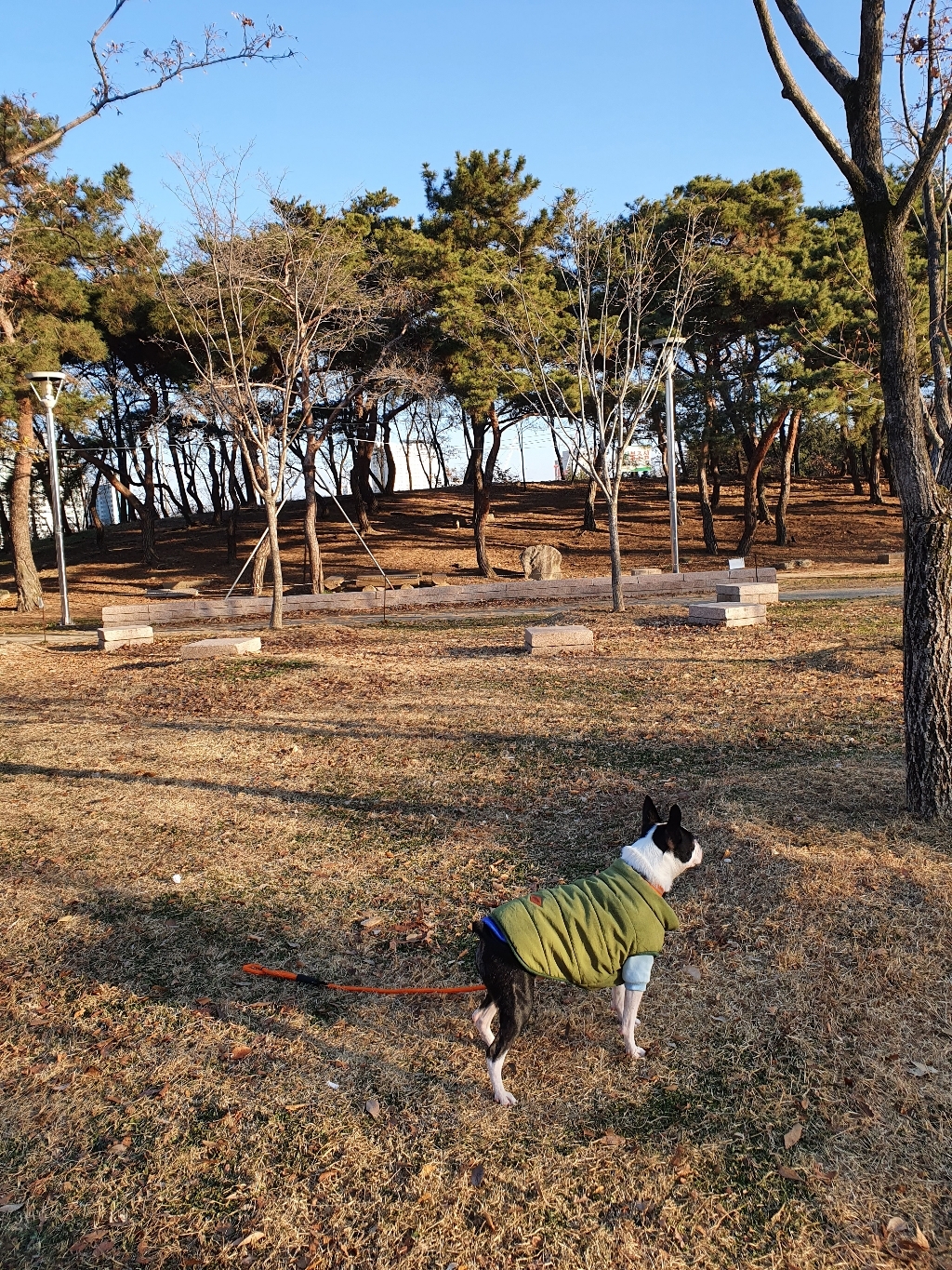 아띠지기 강아지 반사형 웨빙 목줄