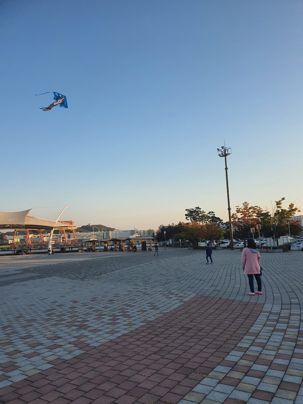 IKITE 강아지델타 디자인연