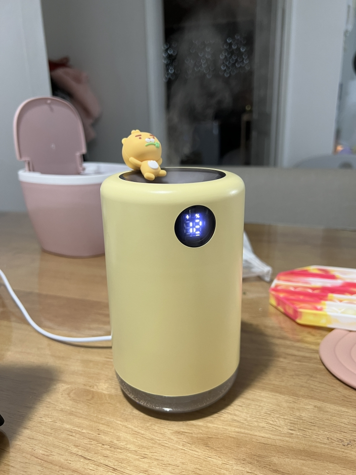 카카오프렌즈 무선 ED 무드등 미니가습기