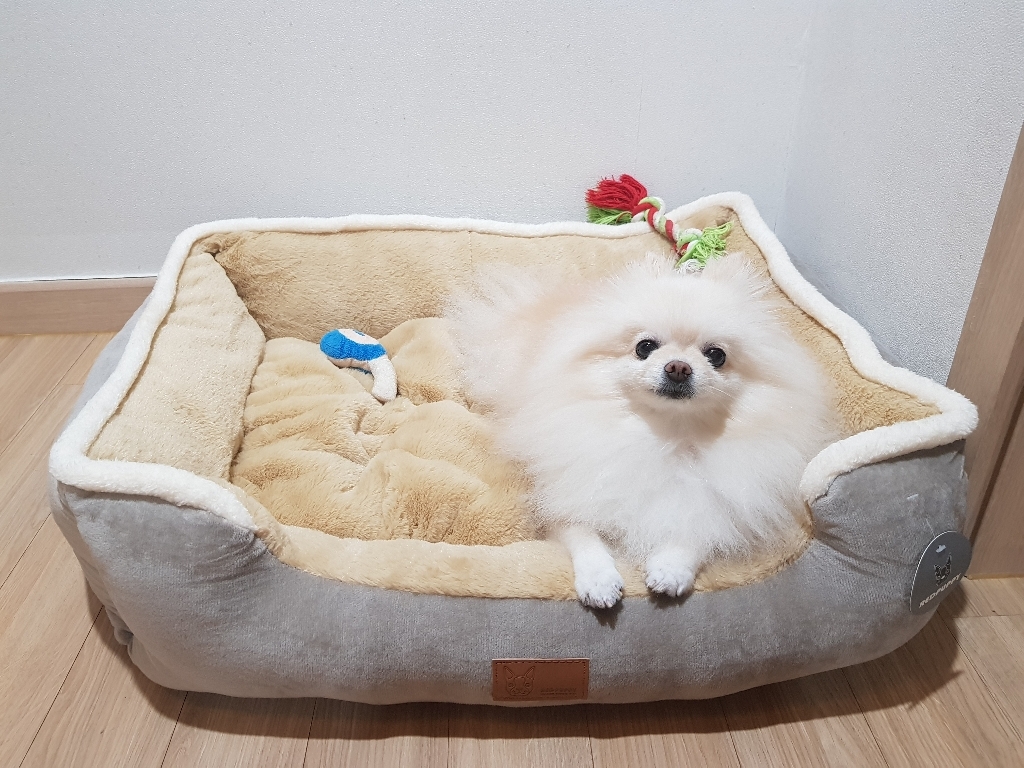 레드퍼피 프리미엄 멜란지 워머 사각 펫 쿠션