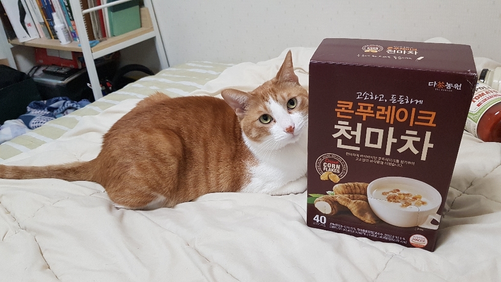 다농원 콘푸레이크 천마차 리뷰후기