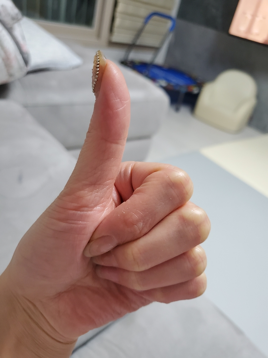 산양유 단백질 네덜란드 분말 플라스틱용기 범용 패밀리 성인 시니어 일반 무첨가 식약처 인증 효능 추천 알레