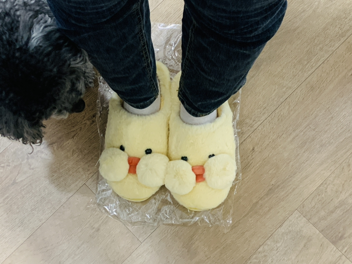 온메이커 여성용 노랑병아리
