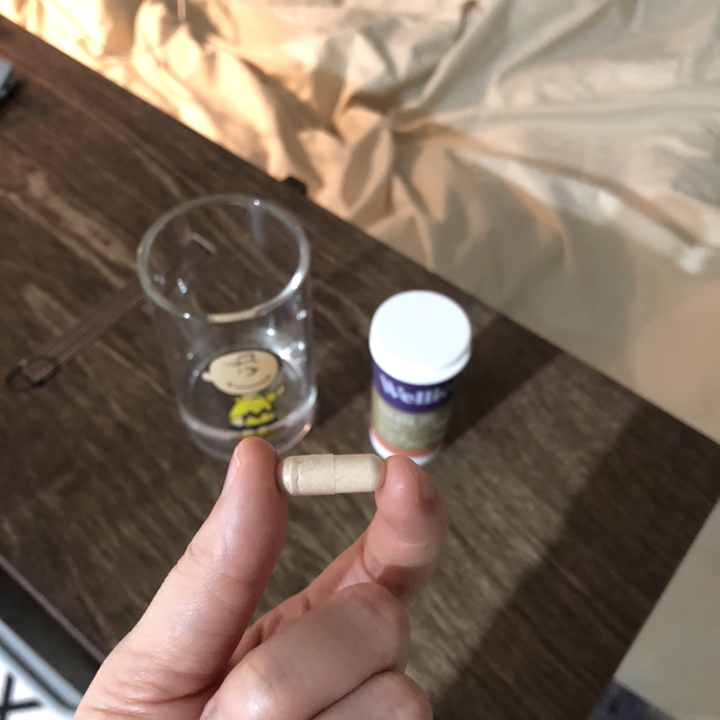 웰리카 더블유 100억 유산균